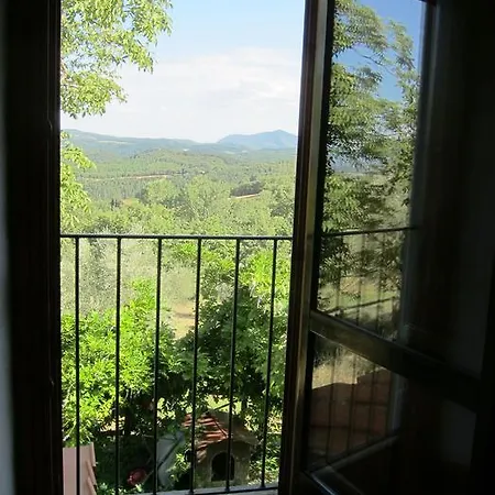 Pulica Barberino di Mugello